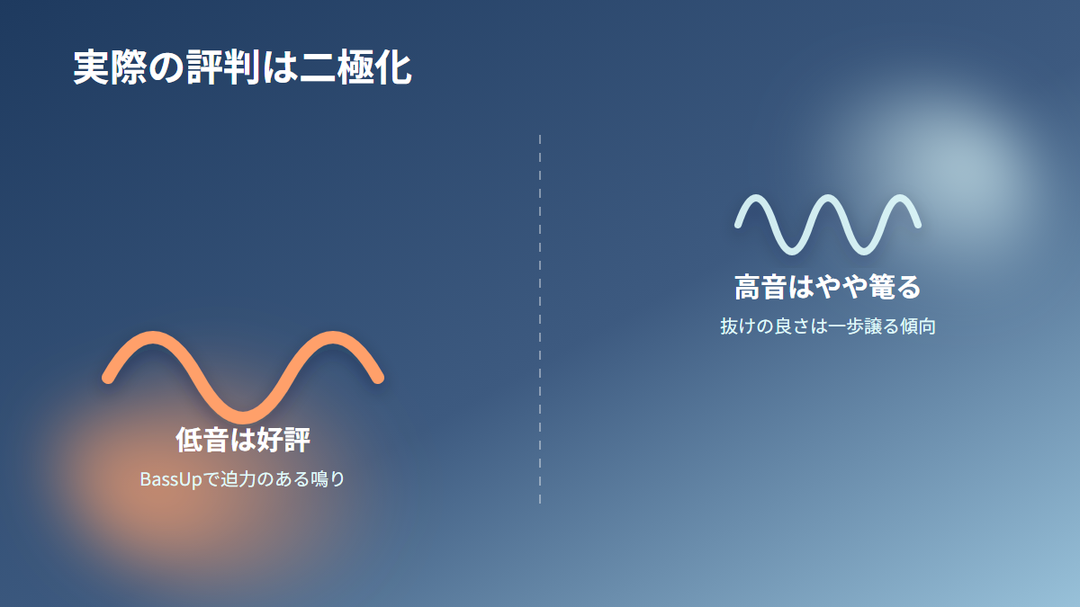 低音は好評、高音はやや篭るという評判の傾向を示す図解